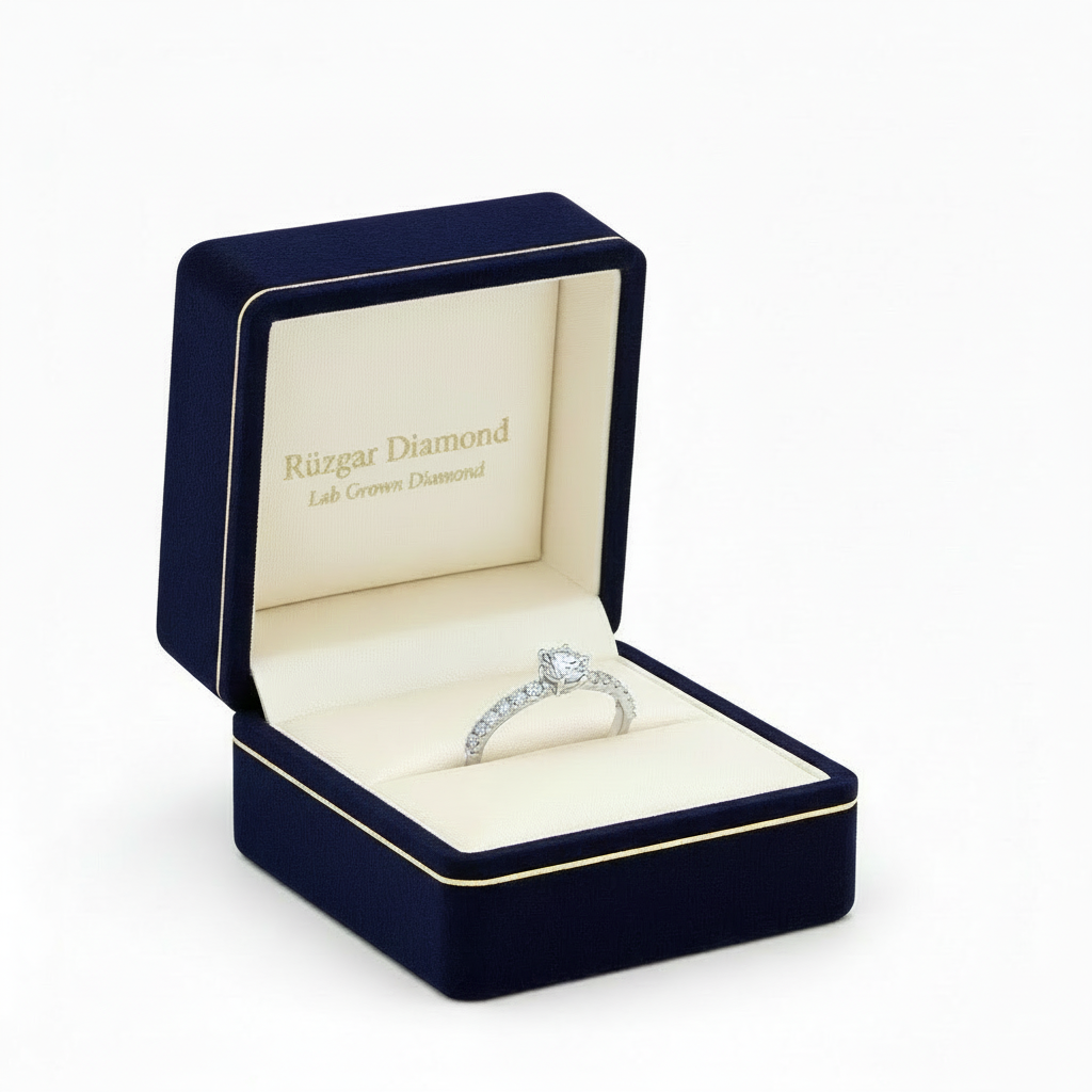 C151-11 Büyük 6 Tırnak