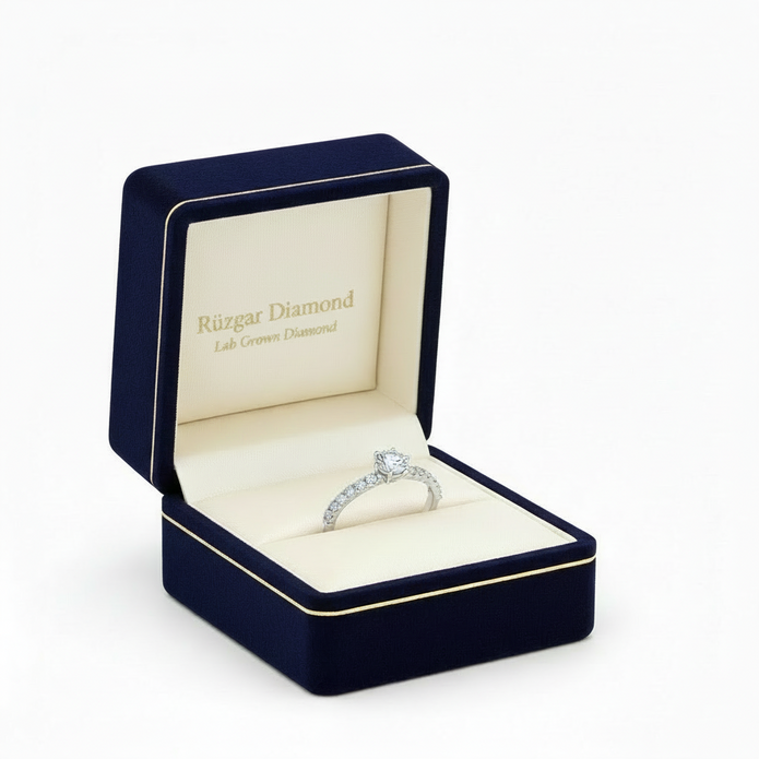 C151-11 Büyük 6 Tırnak