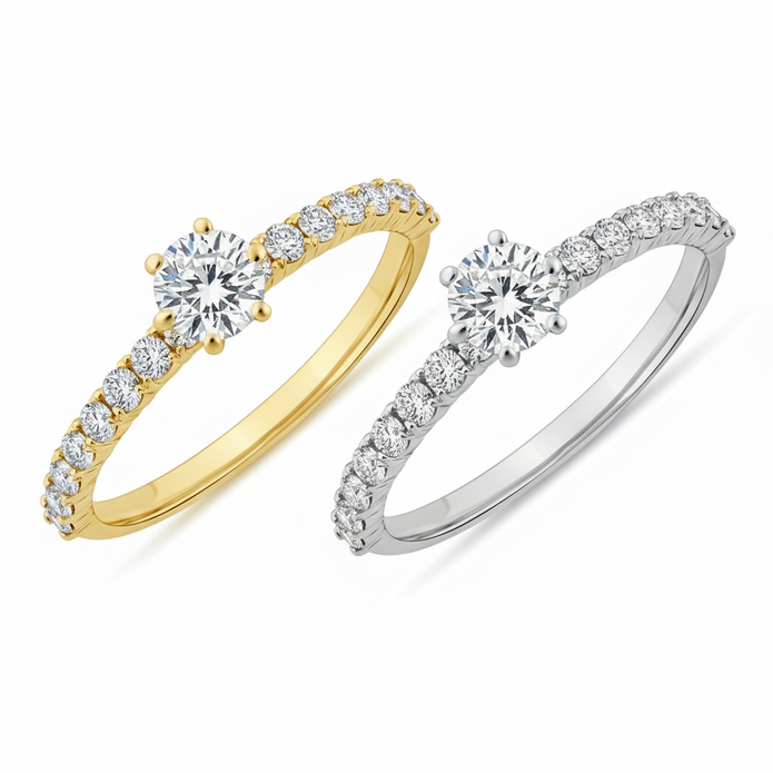 C151-19 Küçük 6 Tırnak