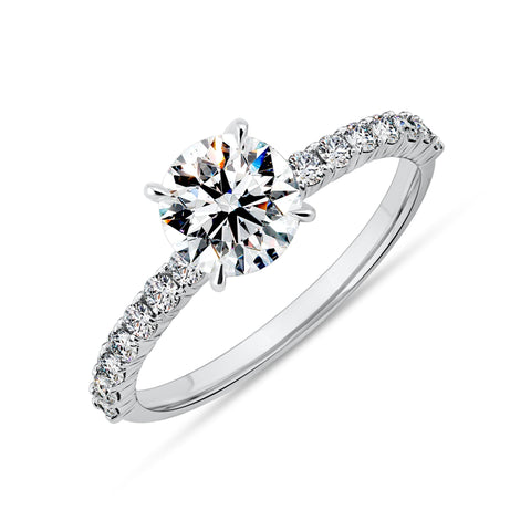 C151-3 Büyük Pençe Tırnak